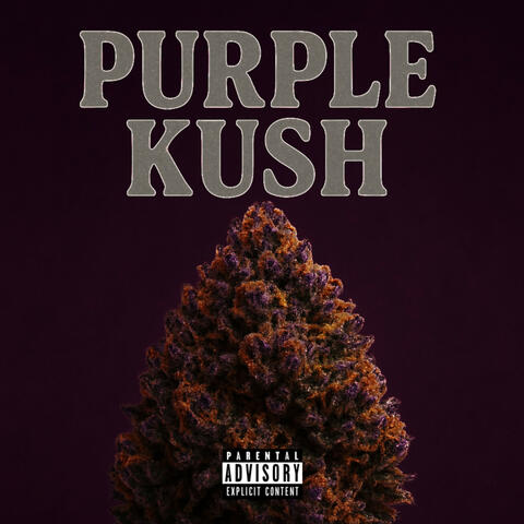 Purple Kush