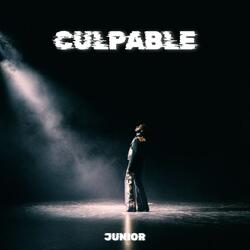 CULPABLE