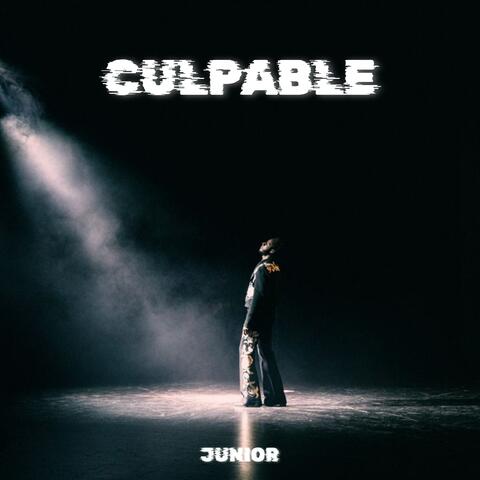 CULPABLE