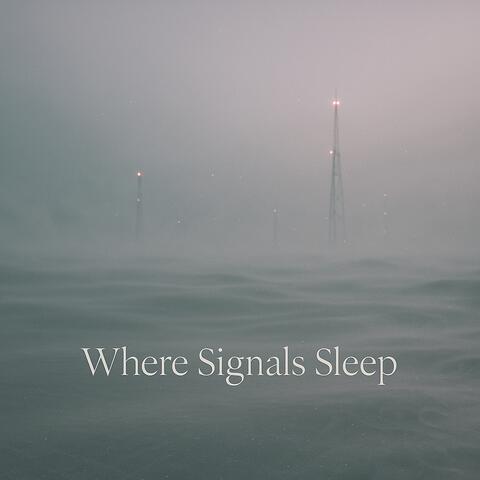 Where Signals Sleep