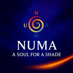 A Soul for a Shade