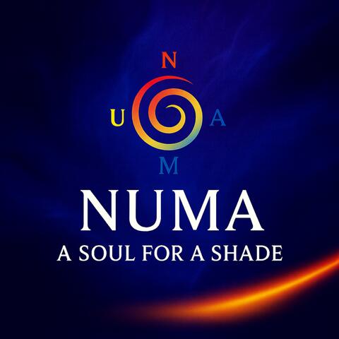 A Soul for a Shade