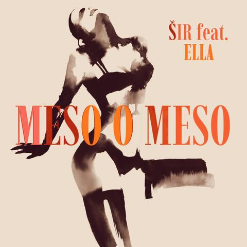 Meso o meso
