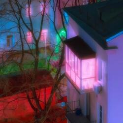 lost in the backyard