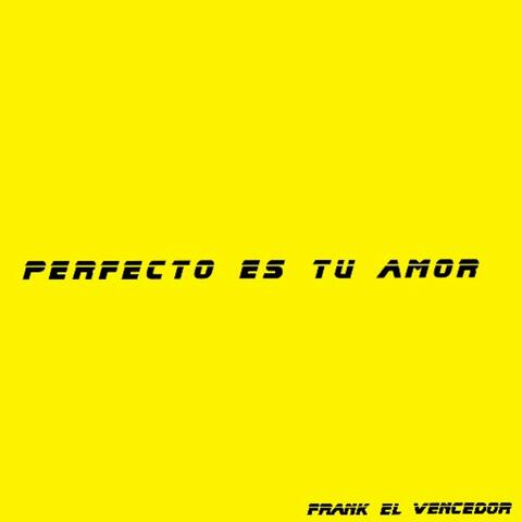 Perfecto Es Tu Amor