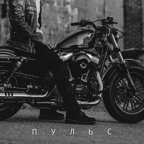 Пульс