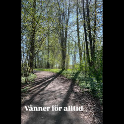 Vänner för alltid