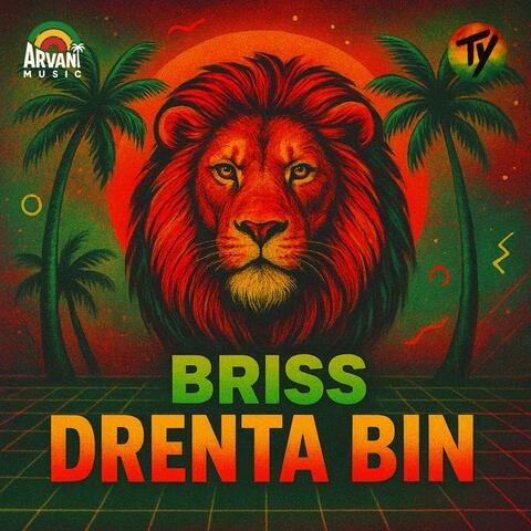 Briss Drenta Bin
