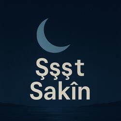 Şşşt sakîn