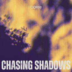 Chasing Shadows