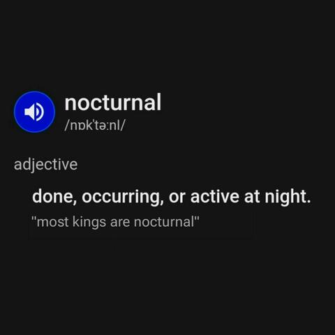 Nocturnal