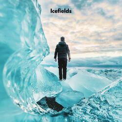 Ice Feilds