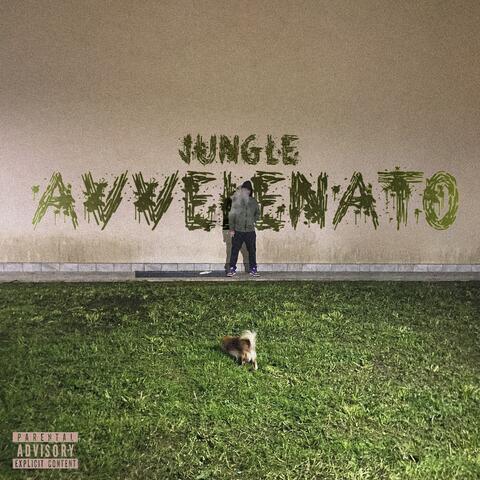 AVVELENATO