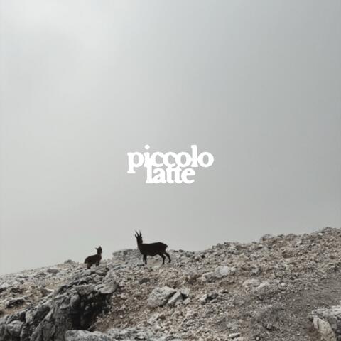piccolo latte