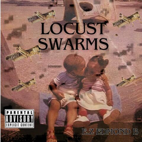 LOCUST SWARMS