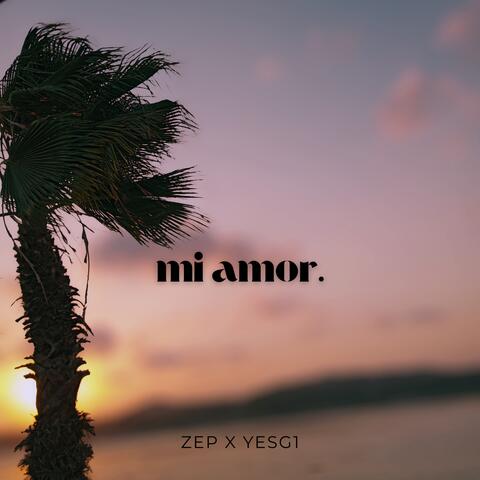 mi amor