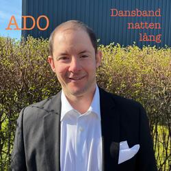Dansband natten lång