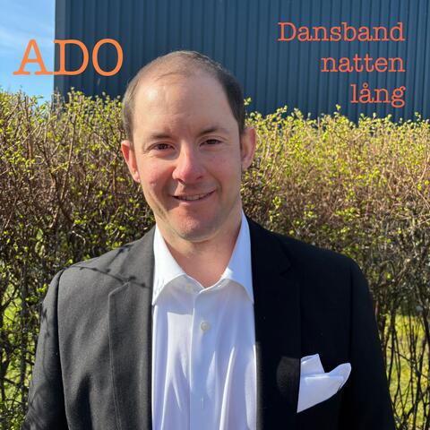Dansband natten lång