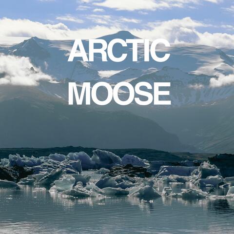 Artic Moose