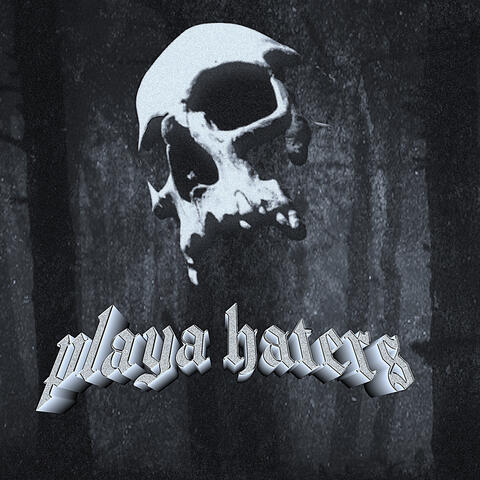 PLAYA HATERS
