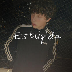 estúpida