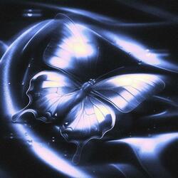 BUTTERFLIES