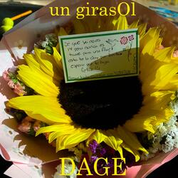un girasOl