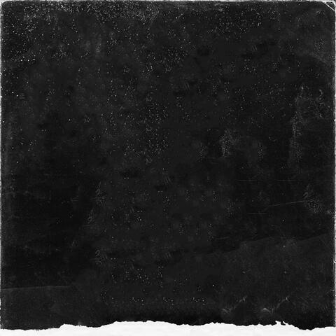 Bach - Concertos & French Suites II