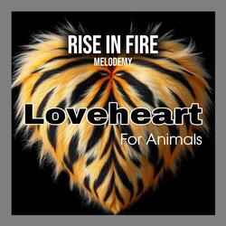 Rise In Fire (Loveheart For Animals)