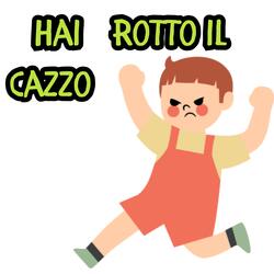 hai rotto il cazzo
