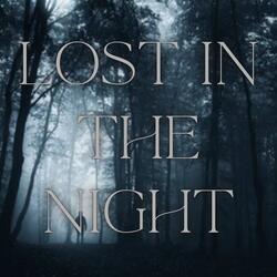 Lost In The Night