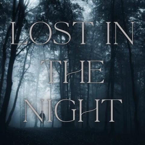 Lost In The Night