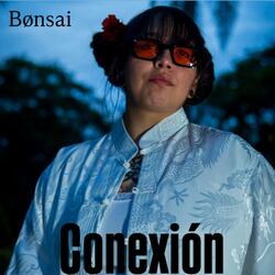 Conexión