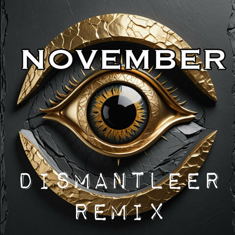 NOVEMBER (DISMANTLEER REMIX)