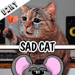 SAD CAT – BZRT Session (¡Gato Triste Llorando!)