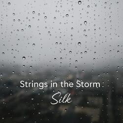 Strings in the Storm
