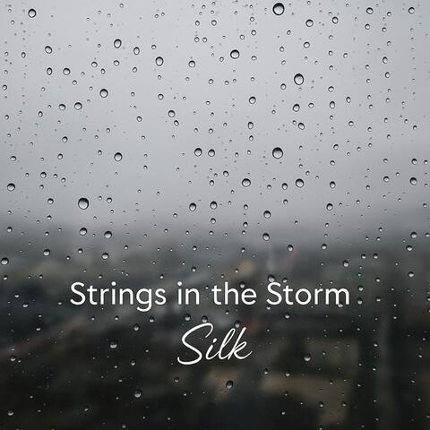 Strings in the Storm