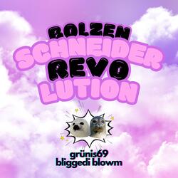 Bolzenschneiderrevolution