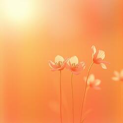 다시 피는 시간