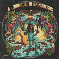 Ni gringos, Ni Gringueros (NGNG)