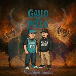 Gallo de pelea