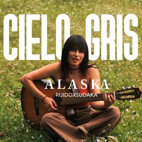 Cielo gris
