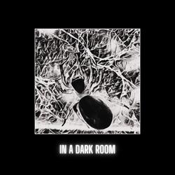 In A Dark Room