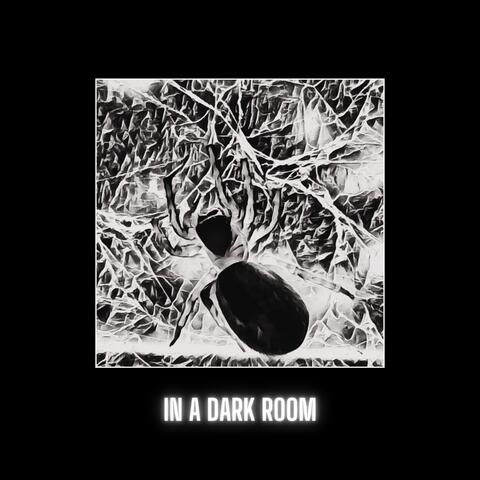 In A Dark Room