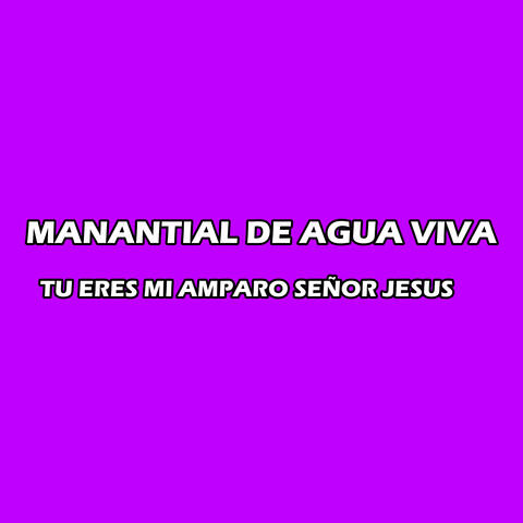 MANANTIAL DE AGUA VIVA TU ERES MI AMPARO SEÑOR JESUS