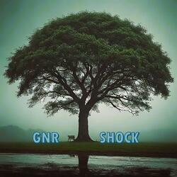 Shock