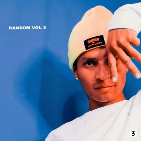RANDOM, Vol. 3