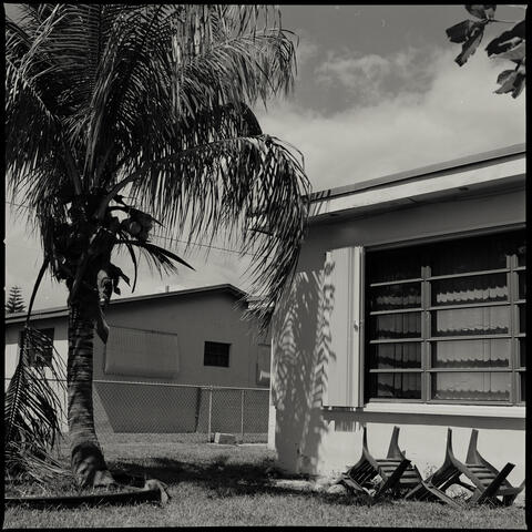 "Do You Want to Go...Swimming?"