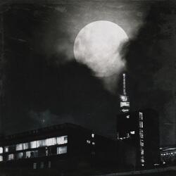 Love me Jeje (Moonlight)