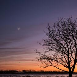 winter moon
